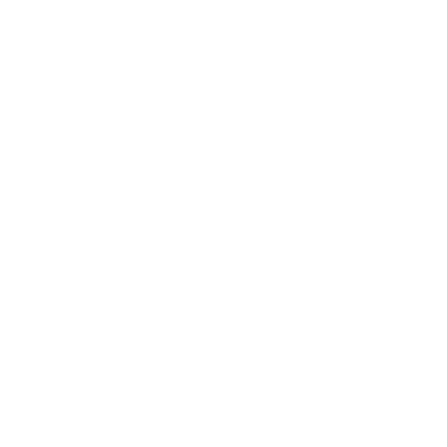 Society of Women Engineers